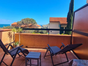 Joli T2 avec balcon vue mer et parking à Collioure - FR-1-309-433